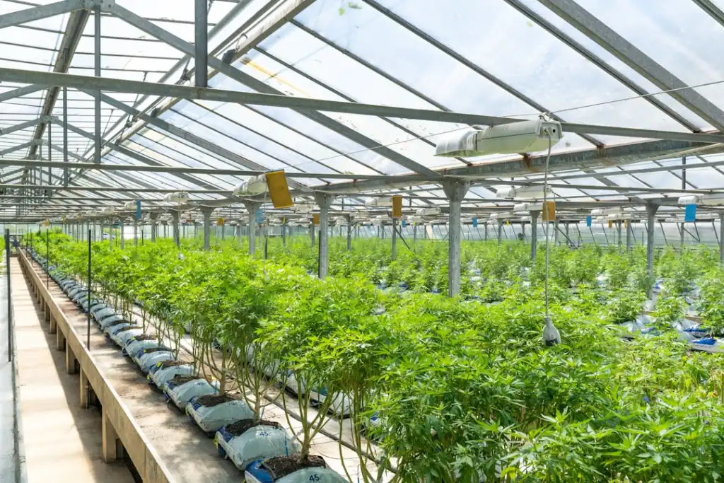 2025年数码电脑配件行业趋势分析与佛山市场机遇