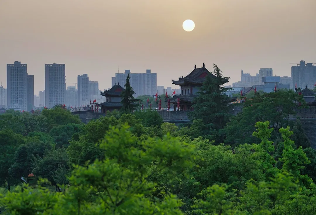 佛山博育乐数码科技电脑配件型号性能对比分析